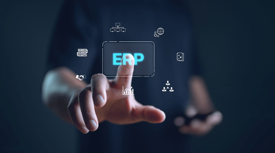 Inbound Despatch Entry Screen